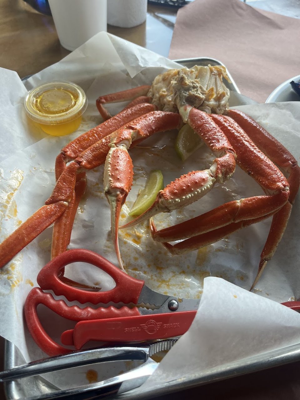 Snow Crab