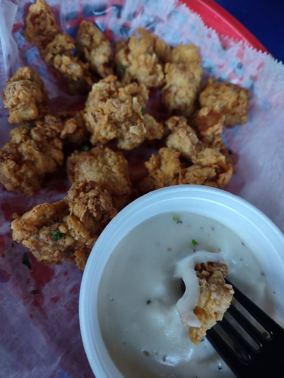 Gator Bites